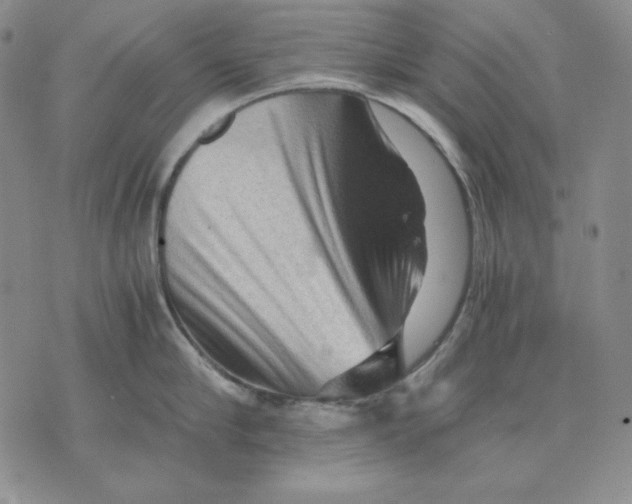 X0000076030910200610152044