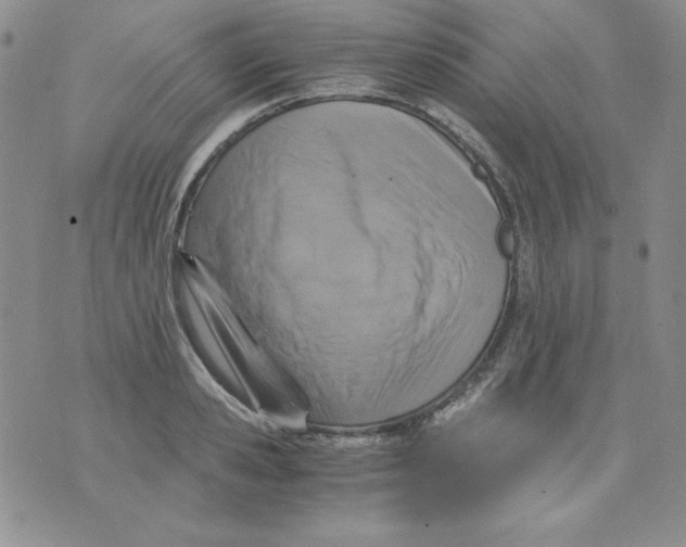 X0000076030941200610152044