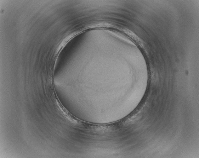 X0000076030945200610152044