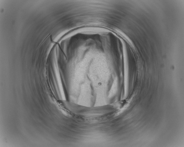 X0000076030956200610152044