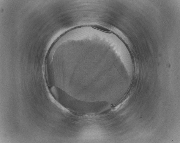 X0000076030958200610152044