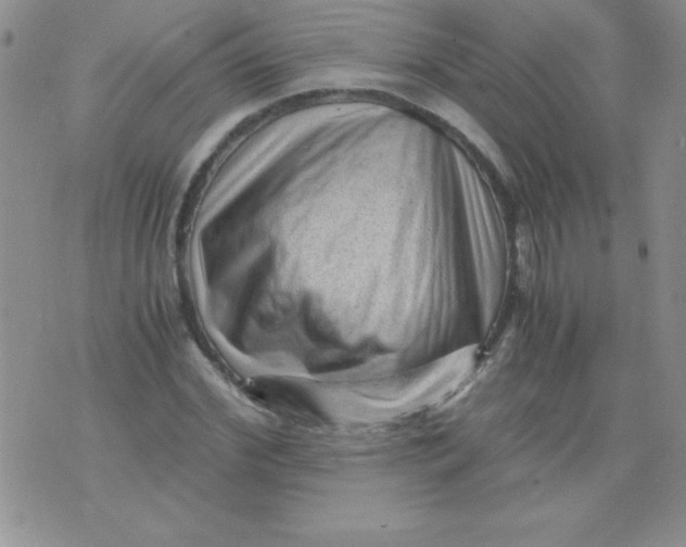 X0000076030972200610152043