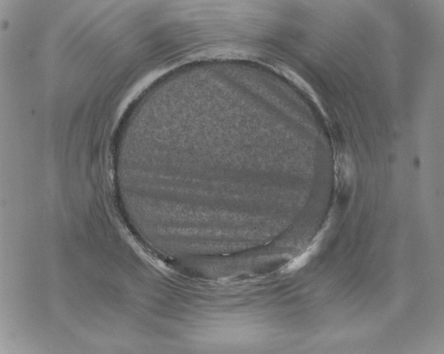 X0000076030981200610152043