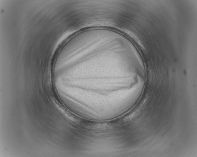 X0000076030982200610152043