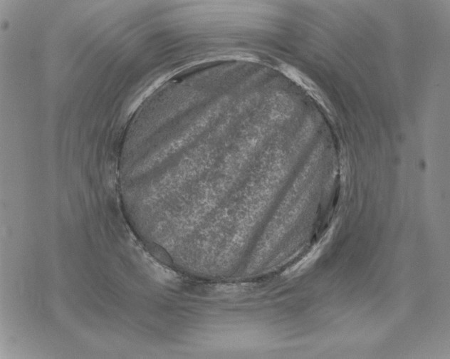 X0000076030985200610152043