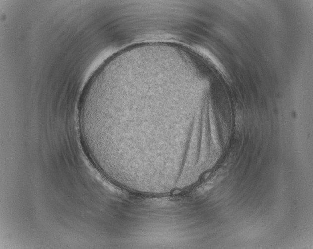 X0000076030990200610152043