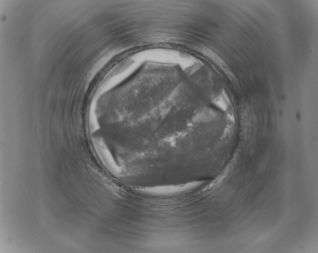 X0000076031023200610152042