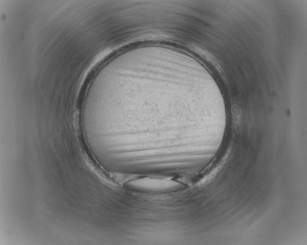 X0000076031029200610152042