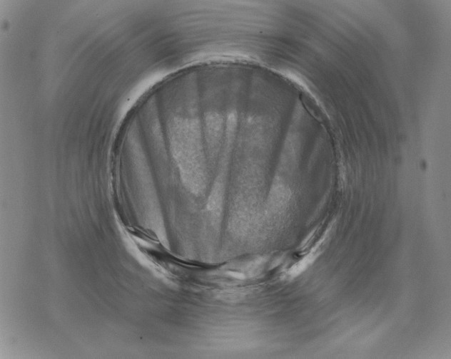 X0000076031038200610152042