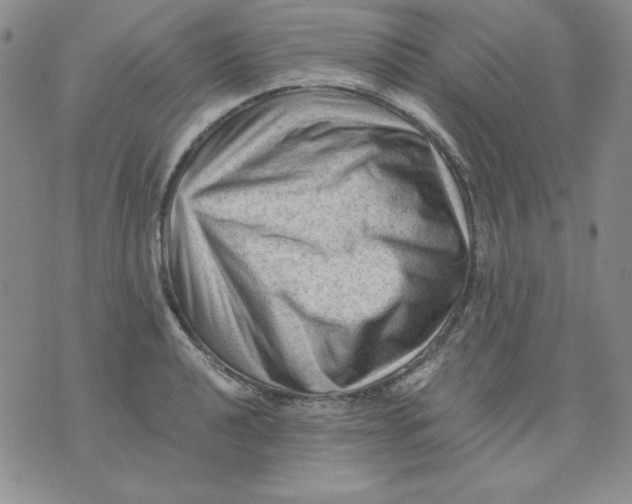 X0000076031040200610152042