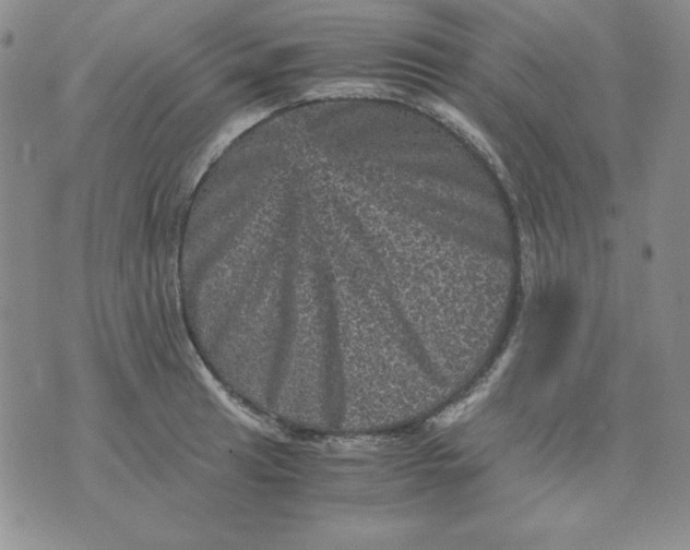 X0000076031041200610152042
