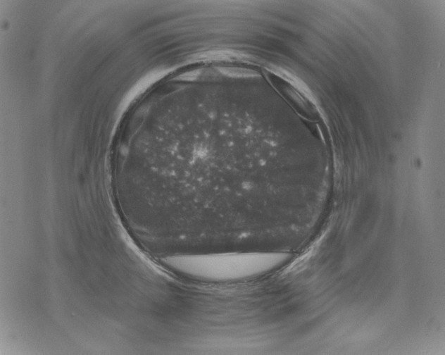 X0000076031045200610152042