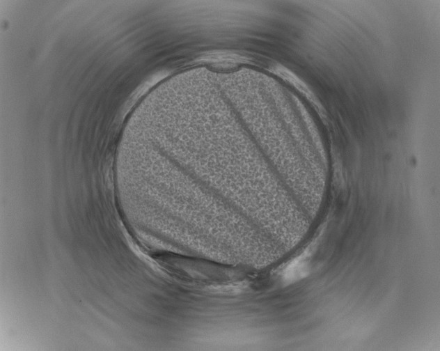 X0000076031049200610152042