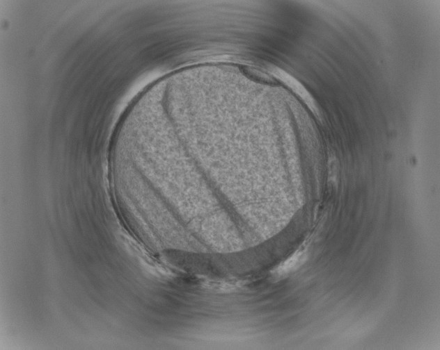 X0000076031051200610152042