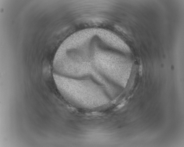 X0000076031061200610152041