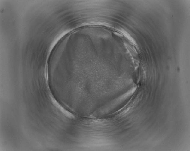 X0000076031084200610152041