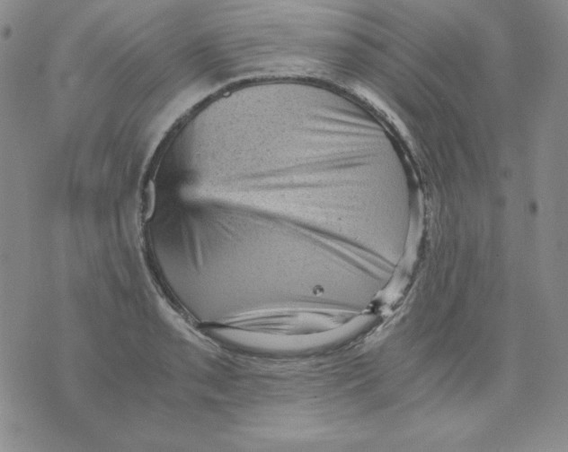X0000076031085200610152041