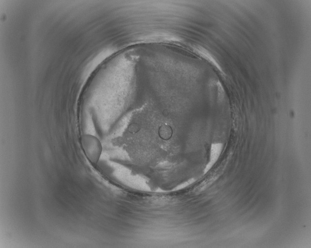 X0000076031087200610152041
