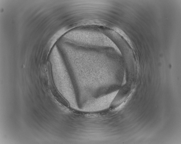 X0000076031089200610152041