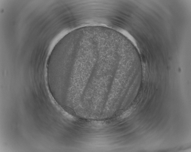 X0000076031096200610152041