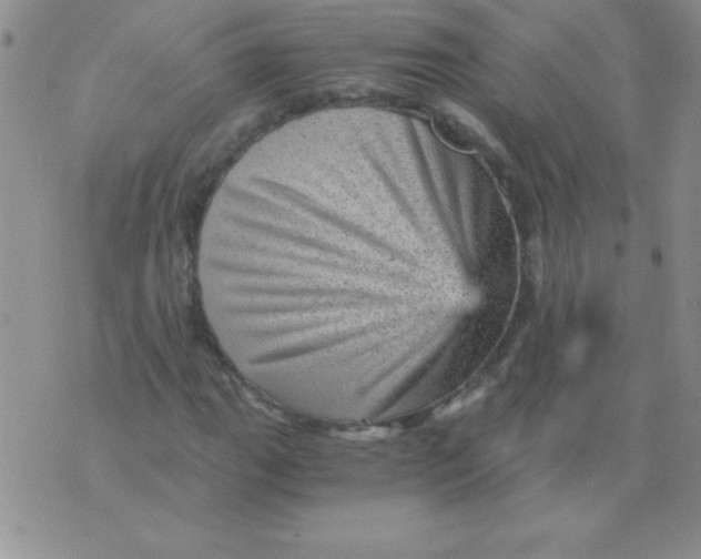 X0000076031111200610152040