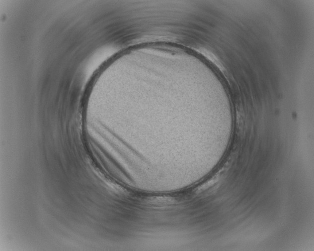 X0000076031119200610152040