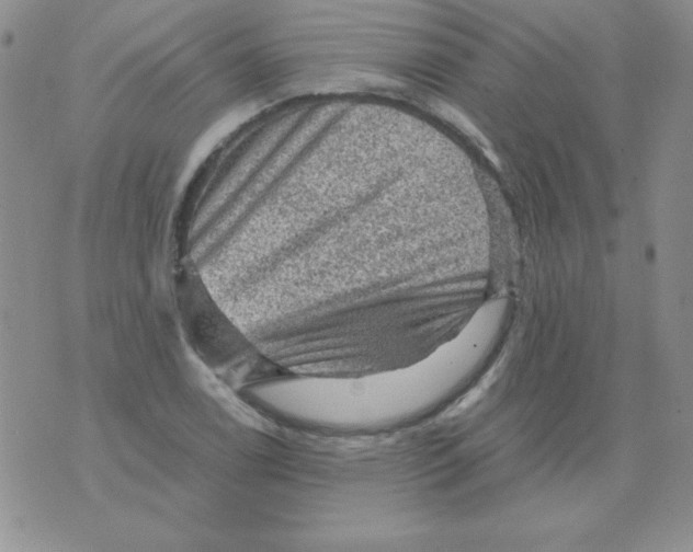 X0000076031122200610152040