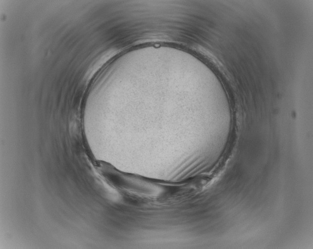 X0000076031129200610152040
