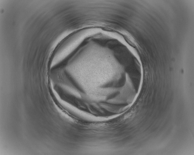 X0000076031143200610152041