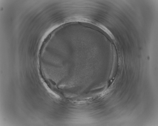 X0000076031144200610152041