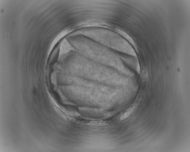 X0000076031146200610152041