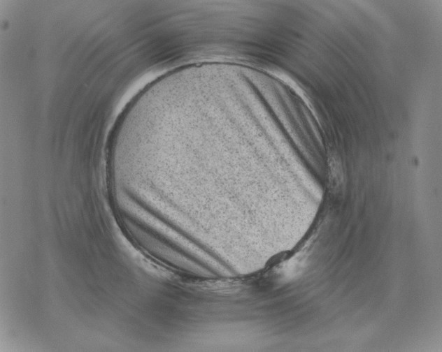 X0000076031147200610152041