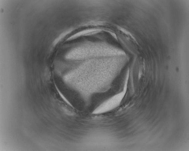 X0000076031160200610152040