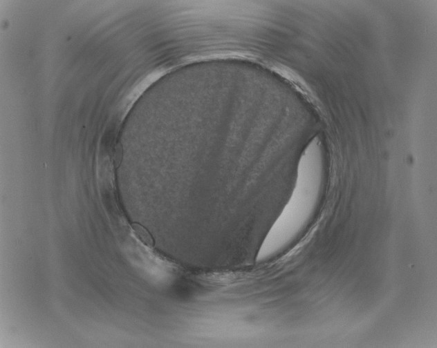 X0000076031177200610152040