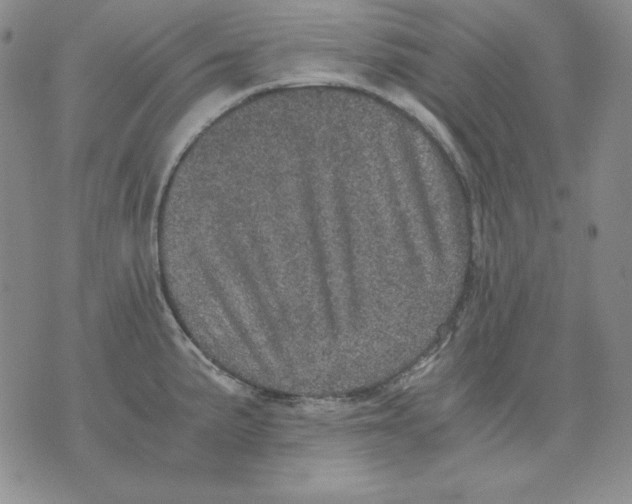 X0000076031191200610152039