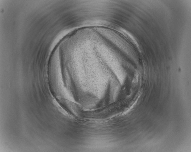 X0000076031192200610152039