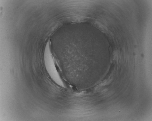 X0000076031202200610152038