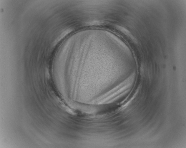 X0000076031209200610152039