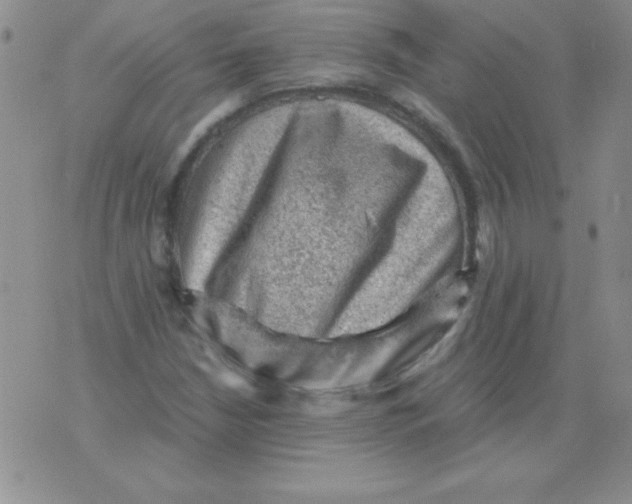 X0000076031210200610152039