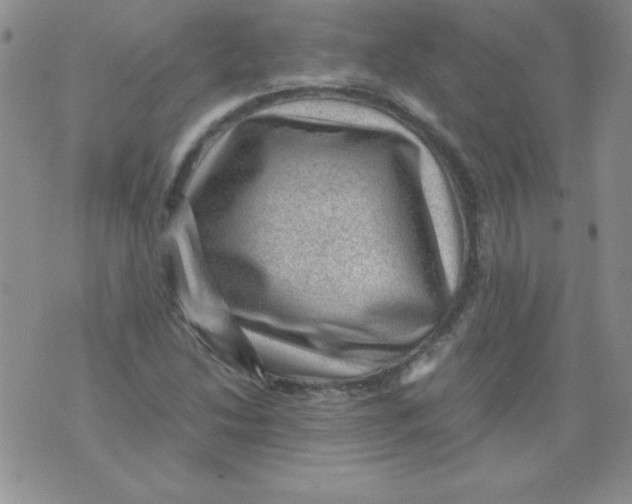 X0000076031214200610152039