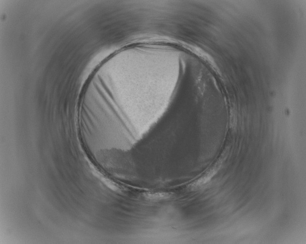 X0000076031231200610152039