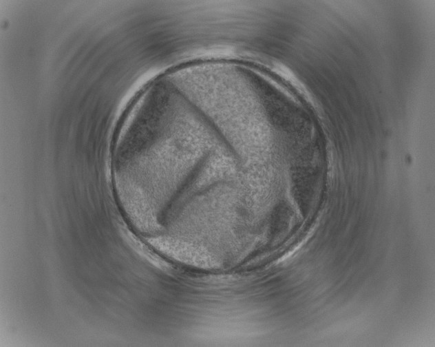 X0000076031232200610152039