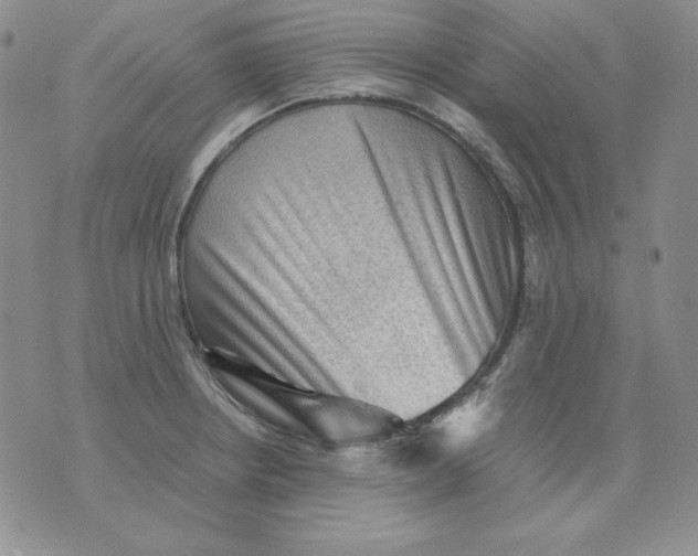X0000076031234200610152039