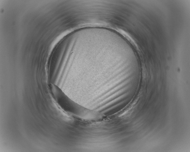 X0000076031238200610152039