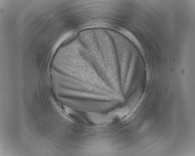 X0000076031242200610152039