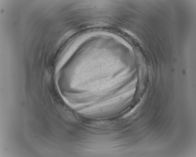 X0000076031257200610152038
