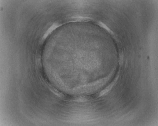 X0000076031259200610152038