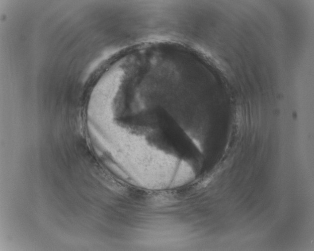 X0000076031262200610152038