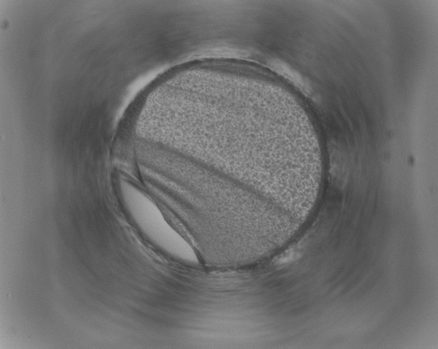 X0000076031264200610152038