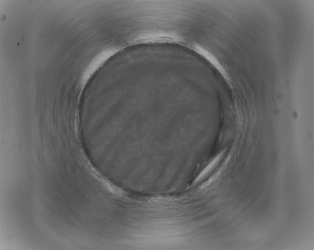 X0000076031277200610152038